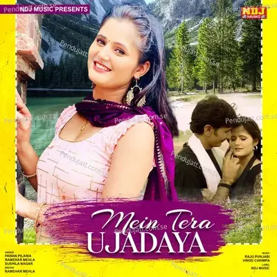 Mein Tera Ujadaya - Pawan Pilania album cover 