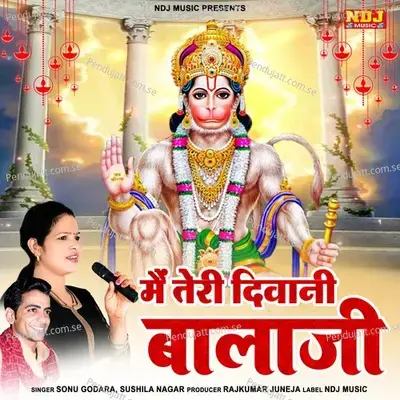 Mein Teri Diwani Bala Ji - Sushila Takhar album cover 