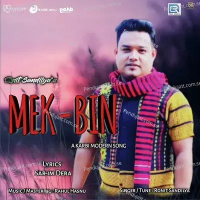 Mek Bin - Ronit Sandilya album cover 