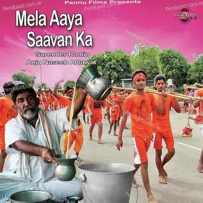 Mela Aaya Saavan Ka - Anju Naseeb Ahlawat album cover 