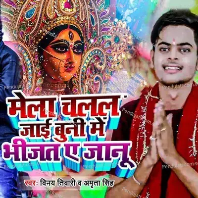 Mela Chalal Jai Bunee Mein Bheejat Ae Janu - Vinay Tiwari album cover 