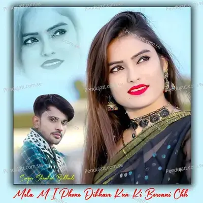 Mela M I Phone Dikhave Kun Ki Bervani Chh - Shankar Bidhudi album cover 