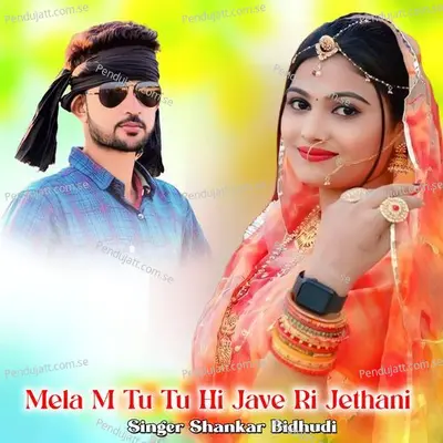 Mela M Tu Tu Hi Jave Ri Jethani - Shankar Bidhudi album cover 