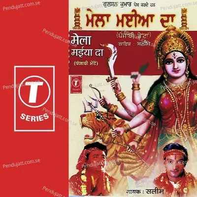 Teri Jai Ho Ganesh - Saleem-Parvez album cover 