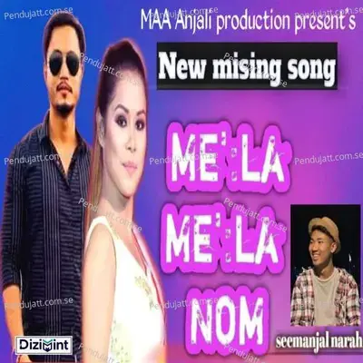 Mela Mela Nom - Seemanjal Narah album cover 