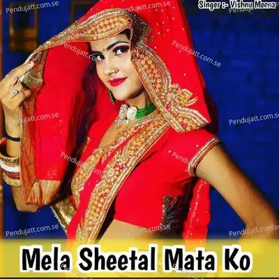 Mela Sheetal Mata Ko - Vishnu Meena album cover 