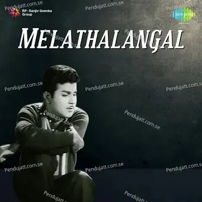 Anandha Veenai Naan Meetum Podhu - S. P. Balasubrahmanyam album cover 