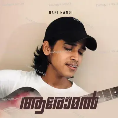 Mele Mega Paali - Vinayak Sasikumar album cover 