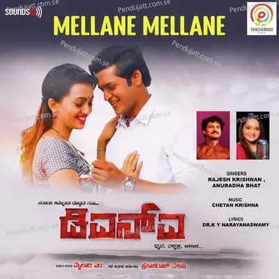 Mellane Mellane - Chetan Krishna album cover 