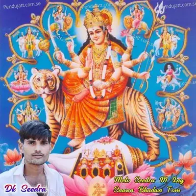 Melo Seedra M Lag Sawan Bhadwa Tom - Raju Meena Koliwada album cover 