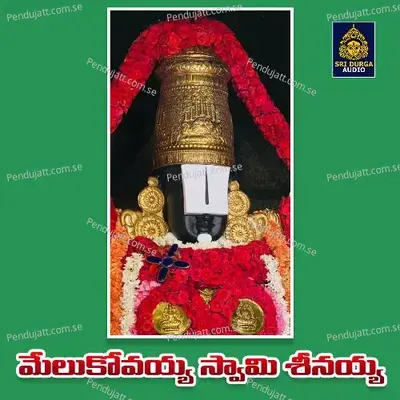 Melukovaya Swami Srinaya - Kannam Srinivas album cover 