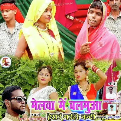 Melva Me Balamua Heray Gaile Nanadi - Amrit Lal Awara album cover 