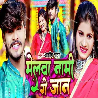 Melwa Nami Ge Jan - Ashish Yadav album cover 