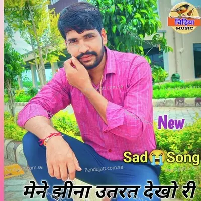 Mene Jina Utarat Dekho Ri - Neeraj gujar album cover 