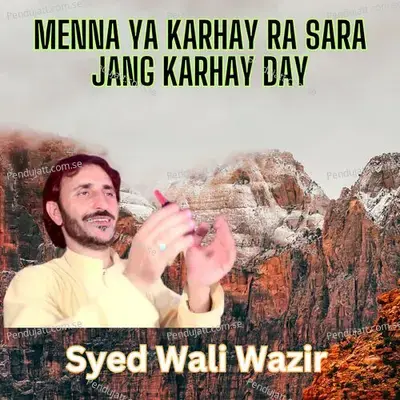 Menna Ya Karhay Ra Sara Jang Karhay Day - Syed Wali Wazir album cover 