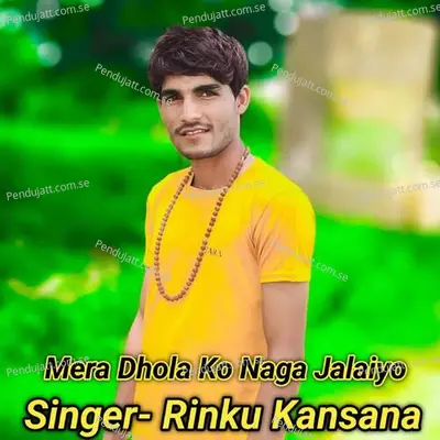 Mera Dhola Ko Naga Jalaiyo - Rinku kansana album cover 