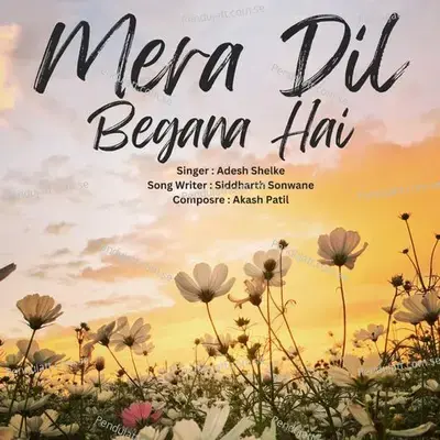 Mera Dil Begana Hai - Akash Shelke album cover 