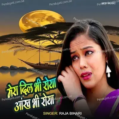Mera Dil Bho Roya Aankh Bhi Roya - Raja Bihari album cover 