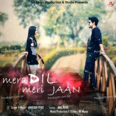 Mera Dil Meri Jaan - Dr. Anirudh Vyas album cover 