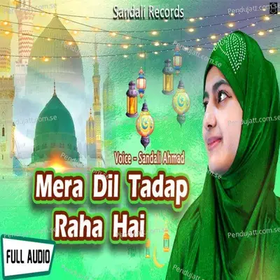 Mera Dil Tadap Raha Hai - Sandali Ahmad album cover 