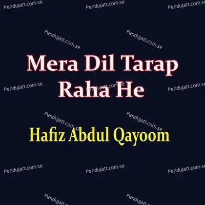 Mera Dil Tarap Raha He - Hafiz Abdul Qayoom album cover 