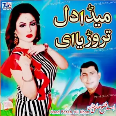 Mera Dil Tarodiay - Asad Ali Khan album cover 