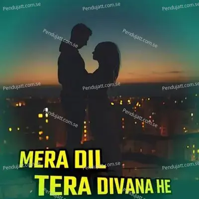 Mera Dil Tera Divana He - Onkarswaroop album cover 