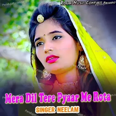 Mera Dil Tere Pyaar Me Rota - Neelam album cover 