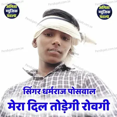 Mera Dil Todegi Rovgi - Dharmraj Poswal album cover 
