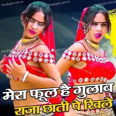 Mera Fool Hai Gulab Raja Chhaati Pe Khile - Ramdhan Gurjar album cover 