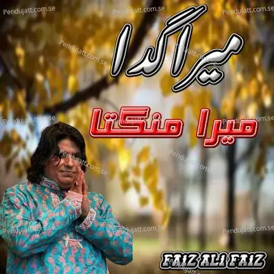 Mera Gada Mera Mangta - Faiz Ali Faiz album cover 