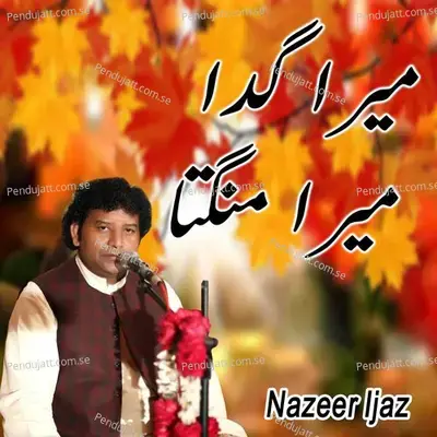 Mera Gada Mera Mangta - Nazeer Ijaz album cover 