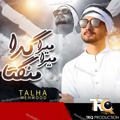 Mera Gada Mera Mangta - Talha Mehmood album cover 