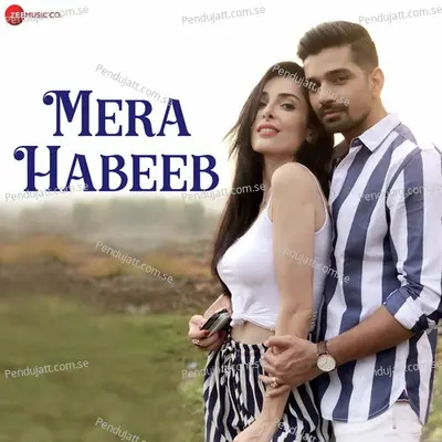 Mera Habeeb - Nayan Shankar album cover 