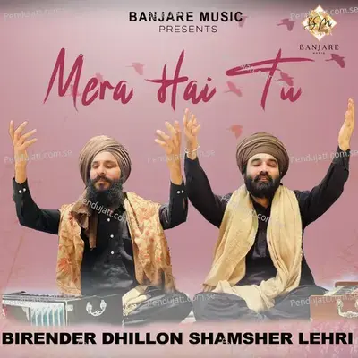 Mera Hai Tu - Birender Dhillon album cover 