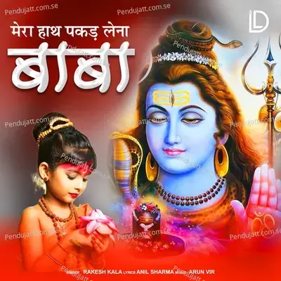 Mera Hath Pakad Lena Baba - Rakesh Kala album cover 