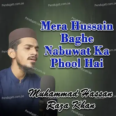 Mera Hussain Baghe Nabuwat Ka Phool Hai - Muhammad Hassan Raza Khan album cover 