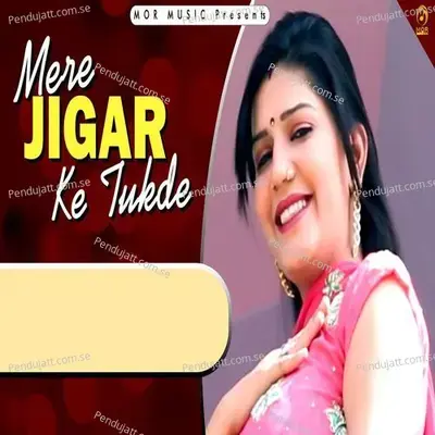 Mera Jigar Ke Tukde - Rahul Putthi album cover 