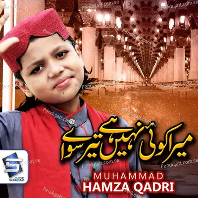 Mera Koi Nahi Hai Tere Siwa - Muhammad Hamza Qadri album cover 