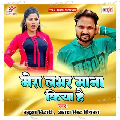 Manwa Bharat Naikhe - Babua Bihari album cover 