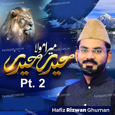 Mera Mola Haider Haider  Pt  2 - Hafiz Rizwan Ghuman album cover 