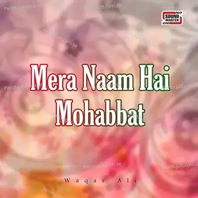 Teri Yaad - Waqar Ali album cover 