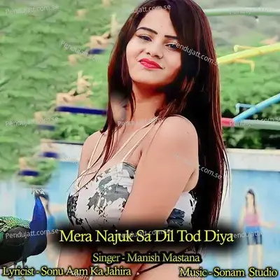 Mera Najuk Sa Dil Tod Diya - Sonam Studio