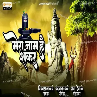 Mera Nam Hai Shankar - Vikas Salve album cover 