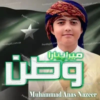 Mera Piyara Watan - Muhammad Anas Nazeer album cover 