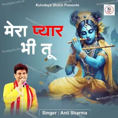 Mera Pyar Bhi Tu - Anil Sharma album cover 