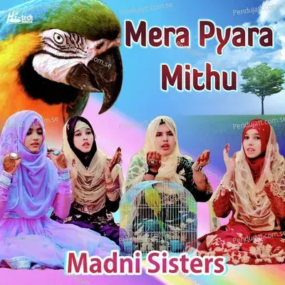 Mera Pyara Mithu - Madni Sisters album cover 