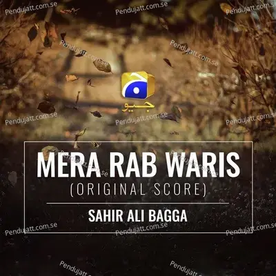 Mera Rab Waris - Sahir Ali Bagga album cover 