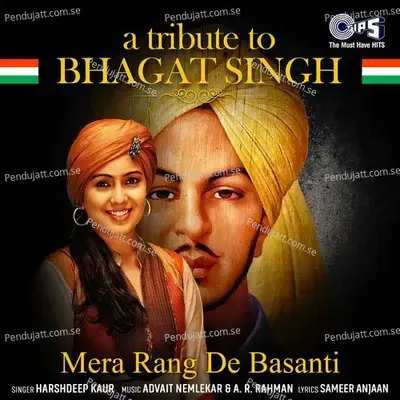 Mera Rang De Basanti  A Tribute To Bhagat Singh - A. R. Rahman album cover 