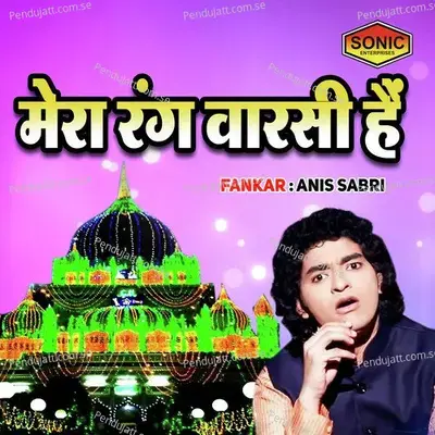 Mera Rang Warshi Hai - Anis Sabri album cover 